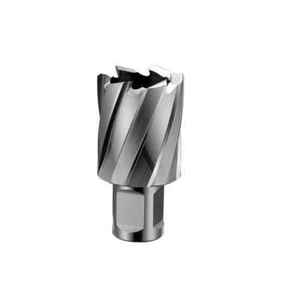 Diameter 22mm HSS Annular Cutter Spiral Annular Drill Bit Set ODM